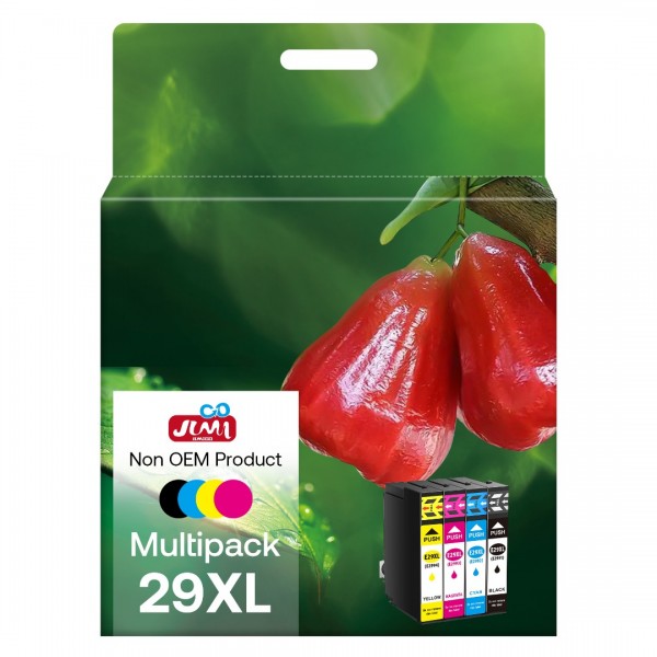 Multipack 29XL Cartouche d'encre Compatible pour Epson 29XL pour Expression  Home